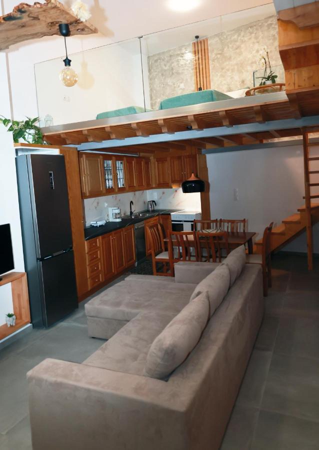 Cane'S Family Guest House Plomari エクステリア 写真